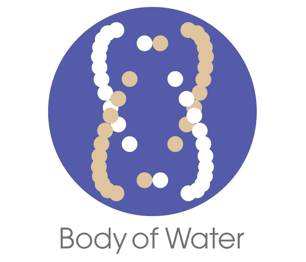Body Of Water Logo